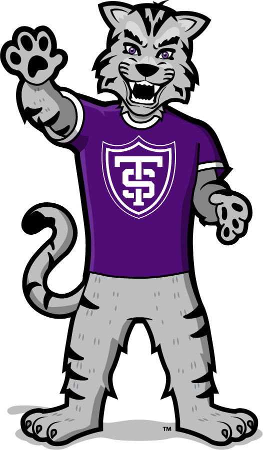 St. Thomas Tommies 2021-Pres Mascot Logo iron on transfers for T-shirts